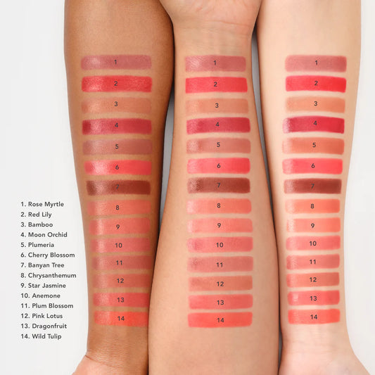 Lip crème - Chantecaille