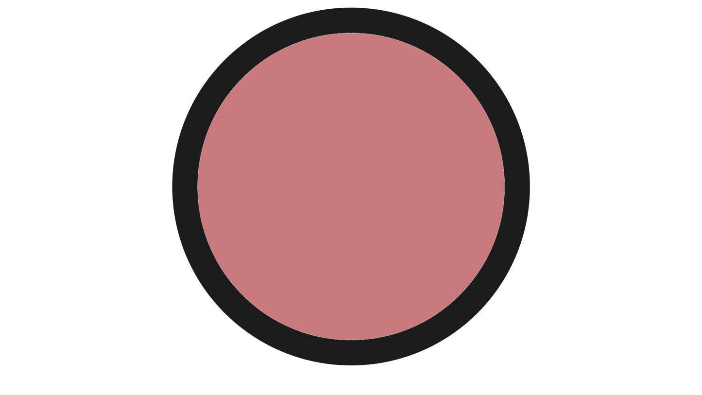 CLARINS POWDER BLUSH