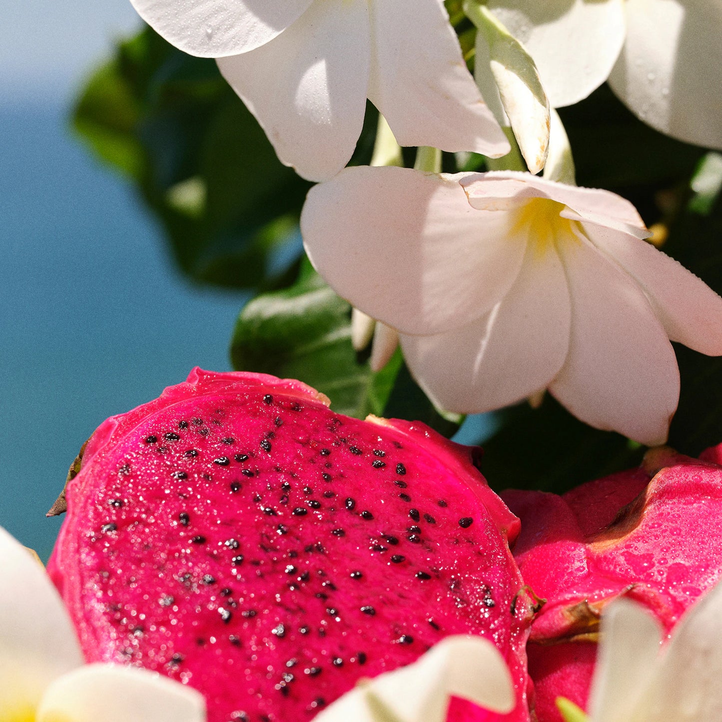 Sol de janeiro: Brazilian Crush Cheirosa 68 - Spray profumato