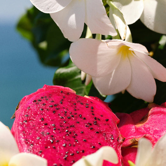 Sol de janeiro: Brazilian Crush Cheirosa 68 - Spray profumato