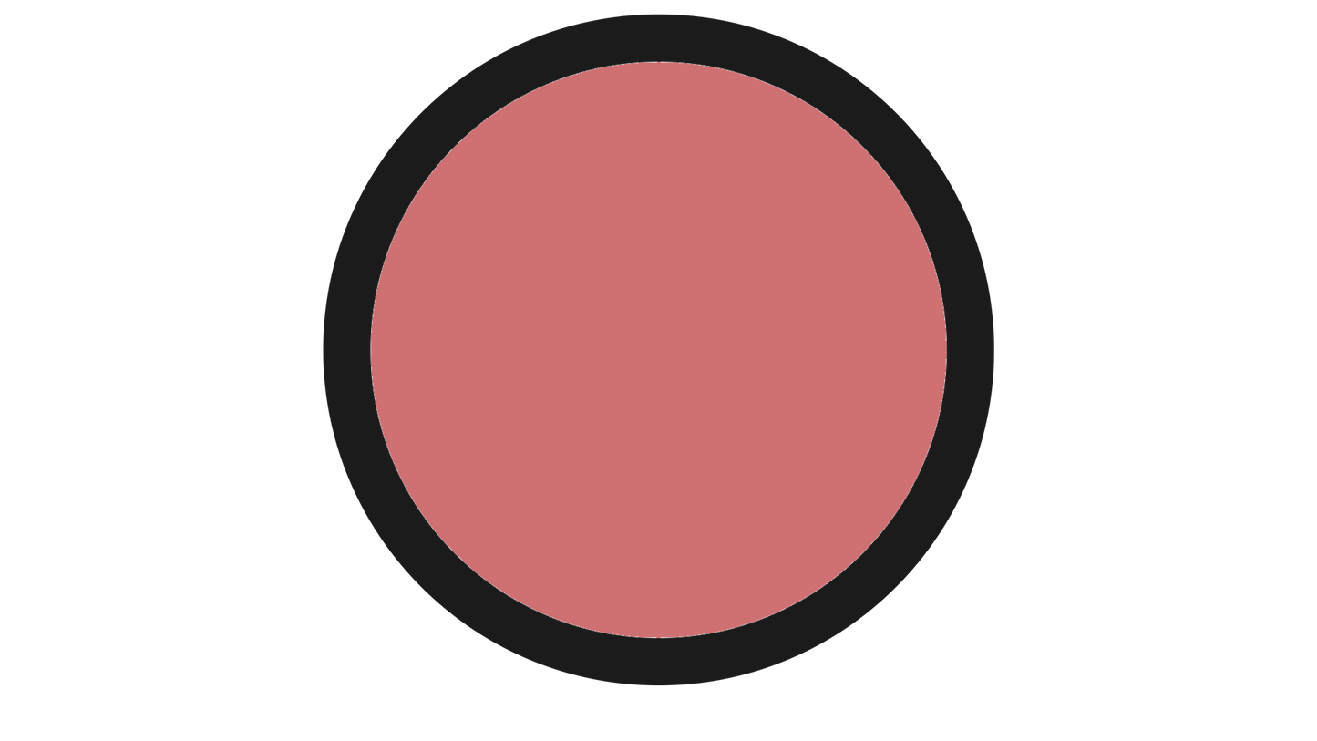 NARS BLUSH