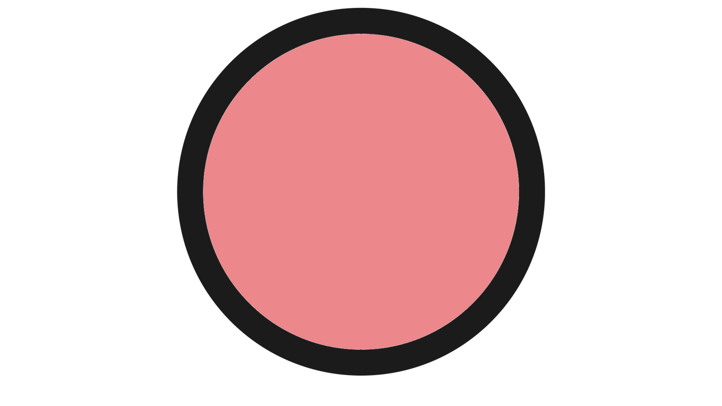 NARS BLUSH