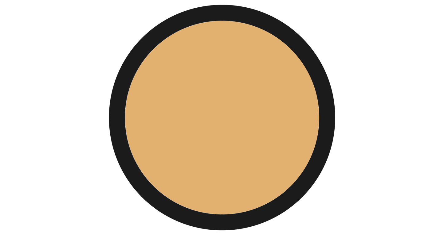 ESTÉE LAUDER Foundation 1W1