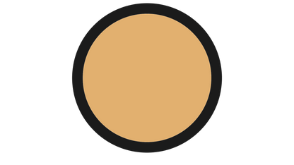 ESTÉE LAUDER Foundation 1W1