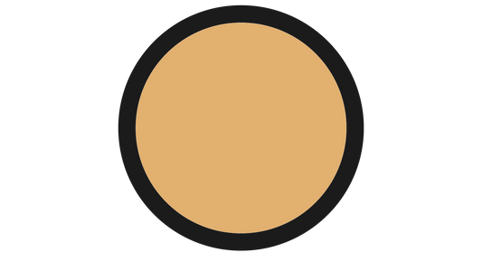 ESTÉE LAUDER Foundation 1W1